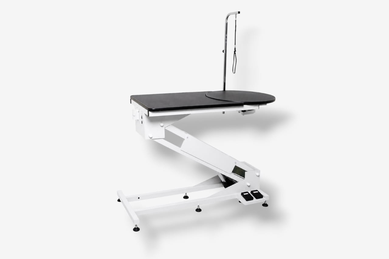 Big Zed tavolo elettrico professionale con piattaforma rotante per toelettatura
